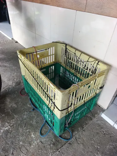 Caixote para entrega