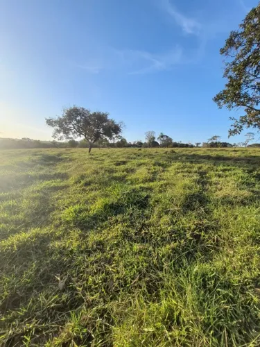 Fazenda de dupla aptidão à venda em Monte Alegre/MG com 15 alqueires de área total (72 hec