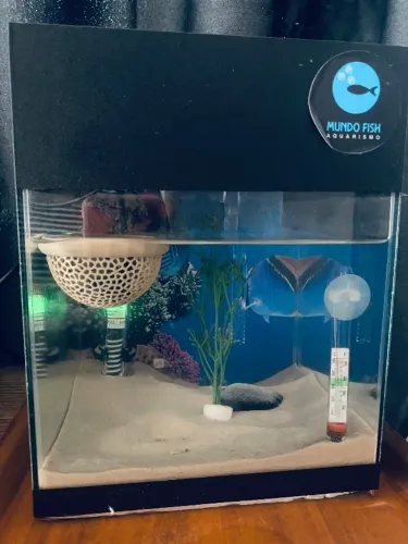 Aquario 10litros