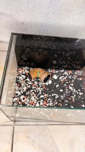 VENDO AQUÁRIO USADO