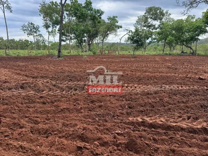 Fazenda 162 Alqueires (784 Hectares) São Valério - Tocantins