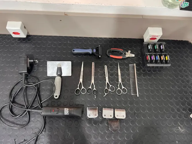 Máquina Andis, tosar cachorro, 220V, jogo de adaptadores e lâminas, Escovas, pentes