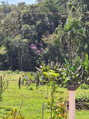 Vaga para caseiro com experiência para Santa Catarina