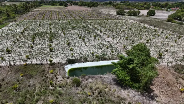 granja com 5.5 hectares excelente para irrigação   ou criação  localização perfeita