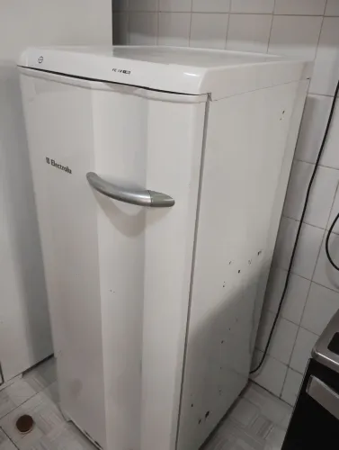 Freezer vertical