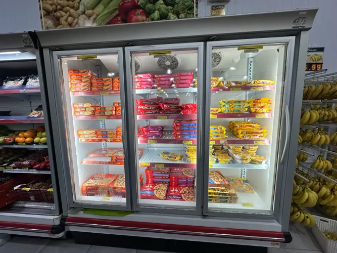 FREEZER CONGELADO VERTICAL