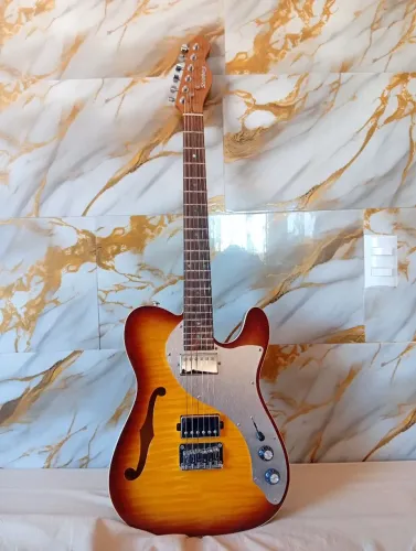 Guitarra Telecaster Strinberg SGS-210T