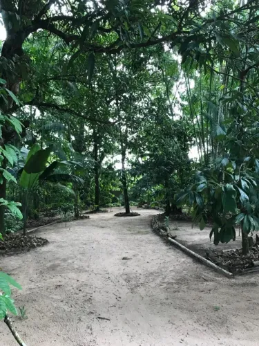 Seu Refúgio Particular em Santo Antônio do Tauá (98,6m X 63m) Contato: *
