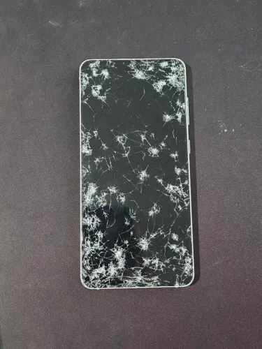 Celular S21FE