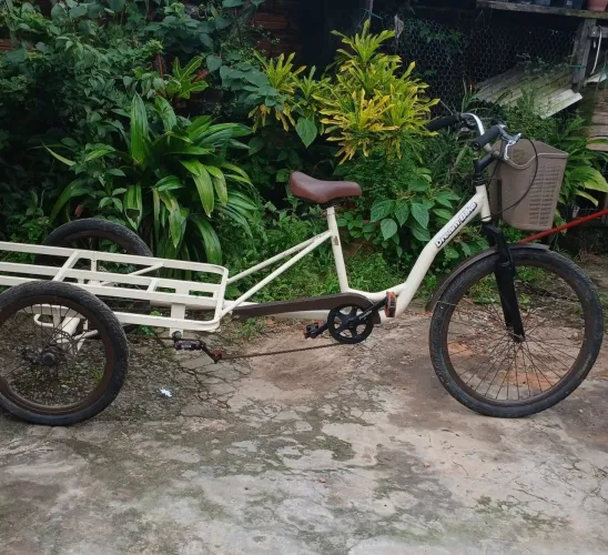 Bicicleta triciclo de carga 