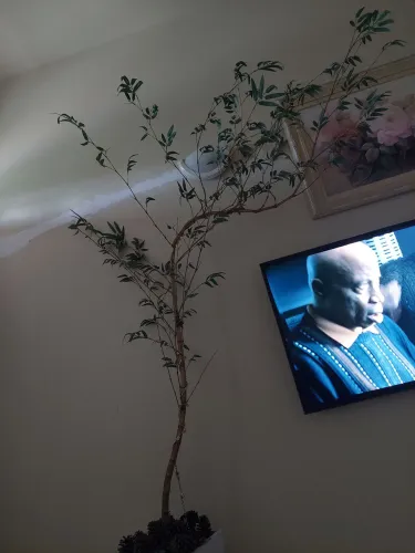 Planta Artificial Grande com Vaso