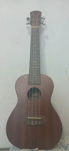 UKULELE CONCERTO WINNER