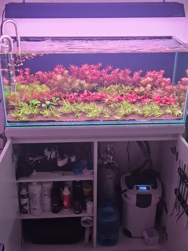 Aquário plantado completo 160L