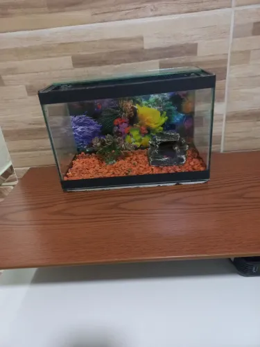 Aquario com assessorio