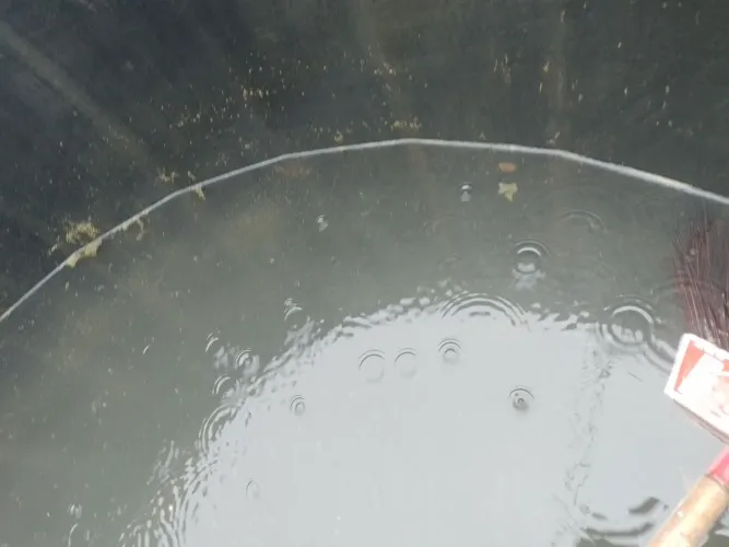 Faço limpeza de caixas d'águas 