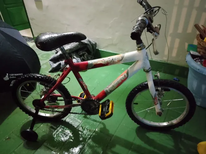 Bicicleta Aro 16