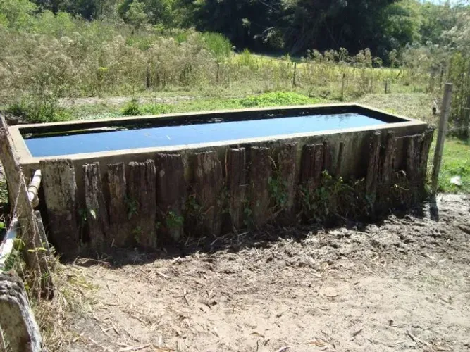 Arrendo Pasto na região de São José do Rio preto ,Trevo de Poloni 9 alqueires 