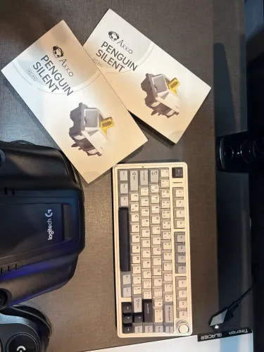 Teclado Aula F75 Switchs Graywood V3 + 90 Switchs Akko Silent Penguin (vendo separado)