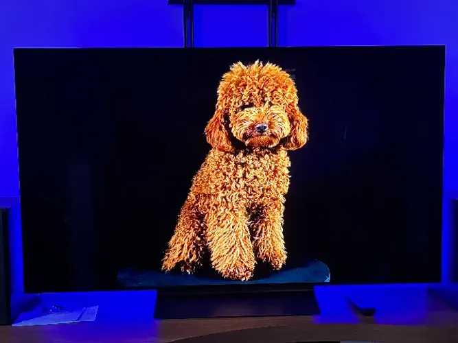 TV LG OLED 55" EVO AI C4