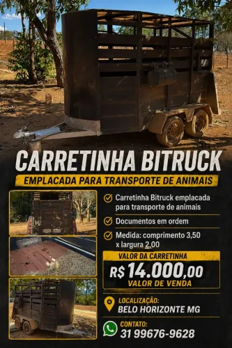 Carretinha Bitruck com documentação