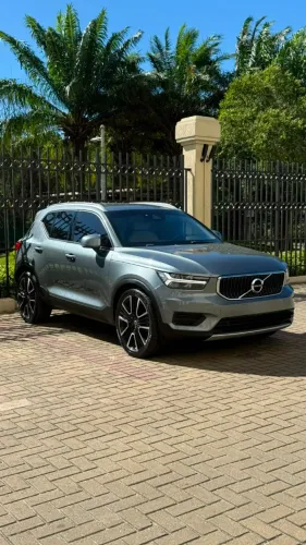 Volvo XC40 T-5 Momentum 2.0 252cv AWD 2019