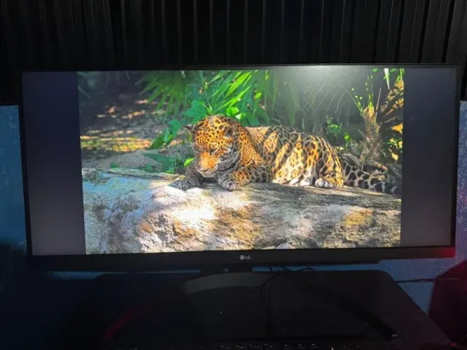 Monitor LG UltraWide - Tela IPS de 29", 21:9, HDR10, sRGB 99%, 100Hz