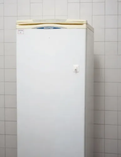 Geladeira 350l Brastemp - 12x $124,75 no cartão de crédito