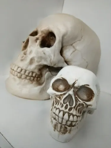 Kit 2 Crânios Decorativos Em Resina Caveira Realista Grande E Média