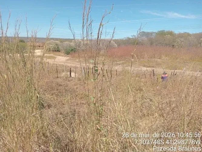 Fazenda plana próximo a Picos