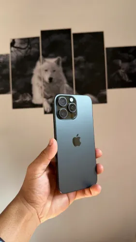 iPhone 16 Pro Max 256gb 91%
