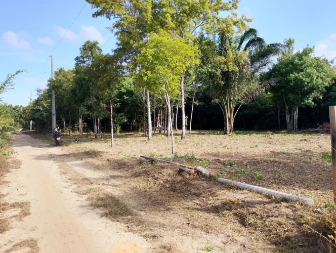 VENDE-SE UM TERRENO NA VILA DO CAMUTA 