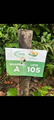 Vendo 2 lotes de chácaras localizado no km 30 da Am 010 é um condomínio de chacaras