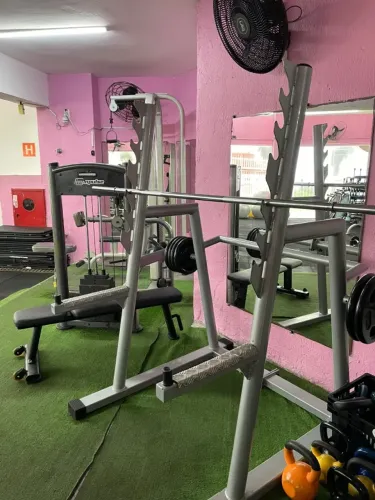 Suporte de Agachamento Livre + Barra Olímpica/Padrão