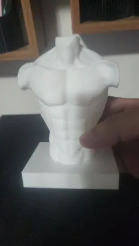 Vende-se estátua de corpo humano