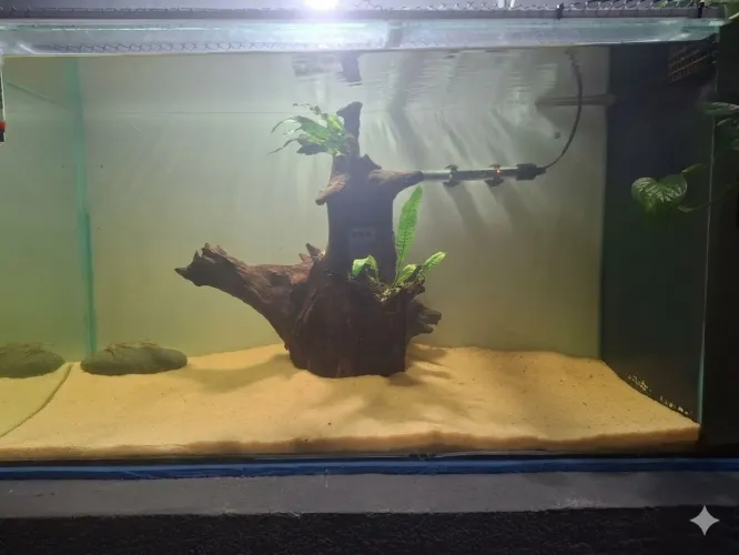 Aquário 200l com sump lateral