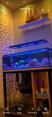 Aquário Marinho Completo