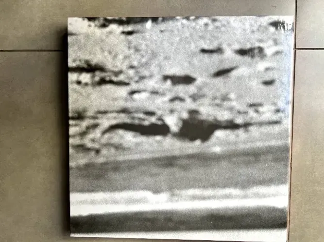 LP Nando Reis - Uma estrela misteriosa (4 discos de vinil)
