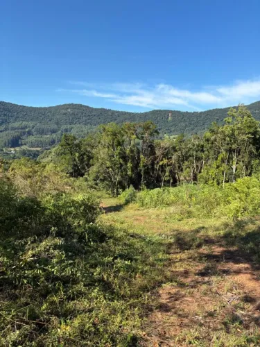 Sitio em Canela, com uma nascente de água