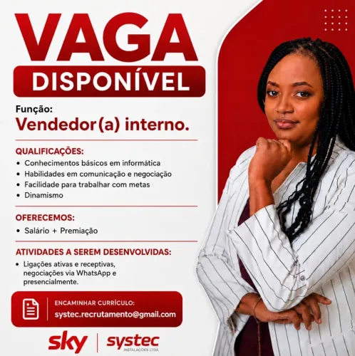 Vendedor Interno