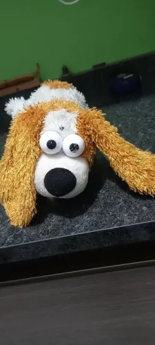 Cãozinho deita e Rola  