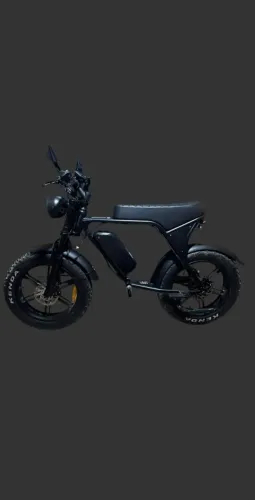 Bicicleta elétrica V8 De 750 Watts - Freios A disco Hidráulico 