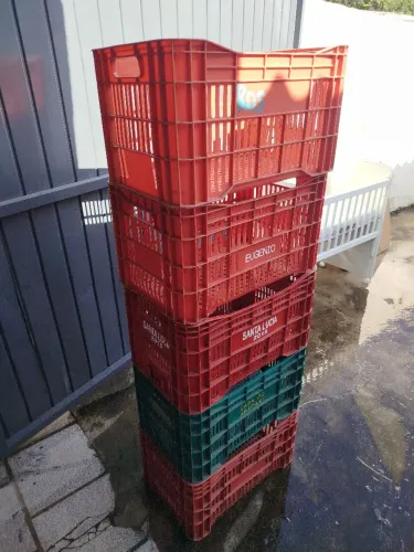 Caixas de plástico Hortifruti usadas 