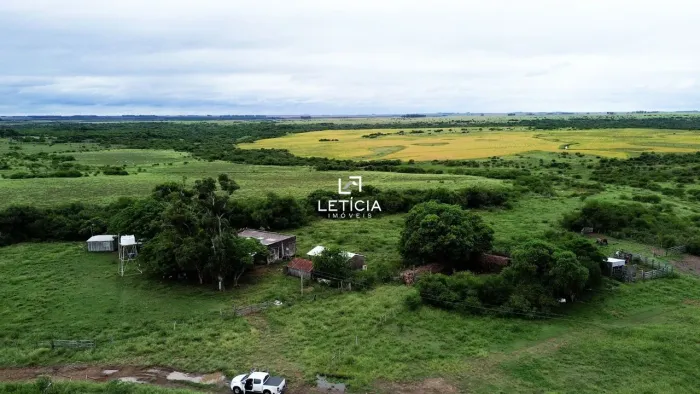 Ótima fazenda. Produzindo pecuária e arroz.