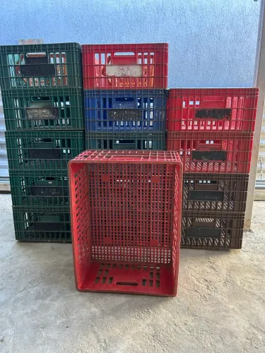Caixas de transporte agrícola 