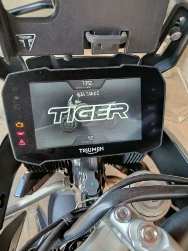 Tiger 900 gt