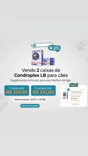 Condroplex LB
