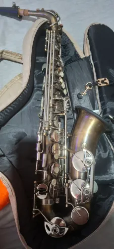 Sax Alto Shelter