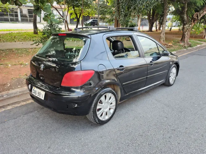 Peugeot 307 Feline/griff/premi. 2.0 Flex 5P Aut. 2006
