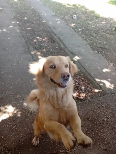 POSSO SER SEU AMIGO? 