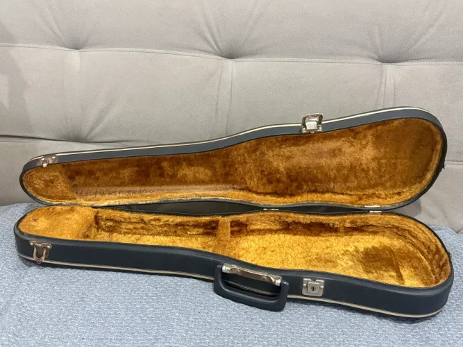 Case Violino Vintage